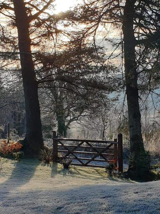Holly Lodge Letterkenny Esterno foto