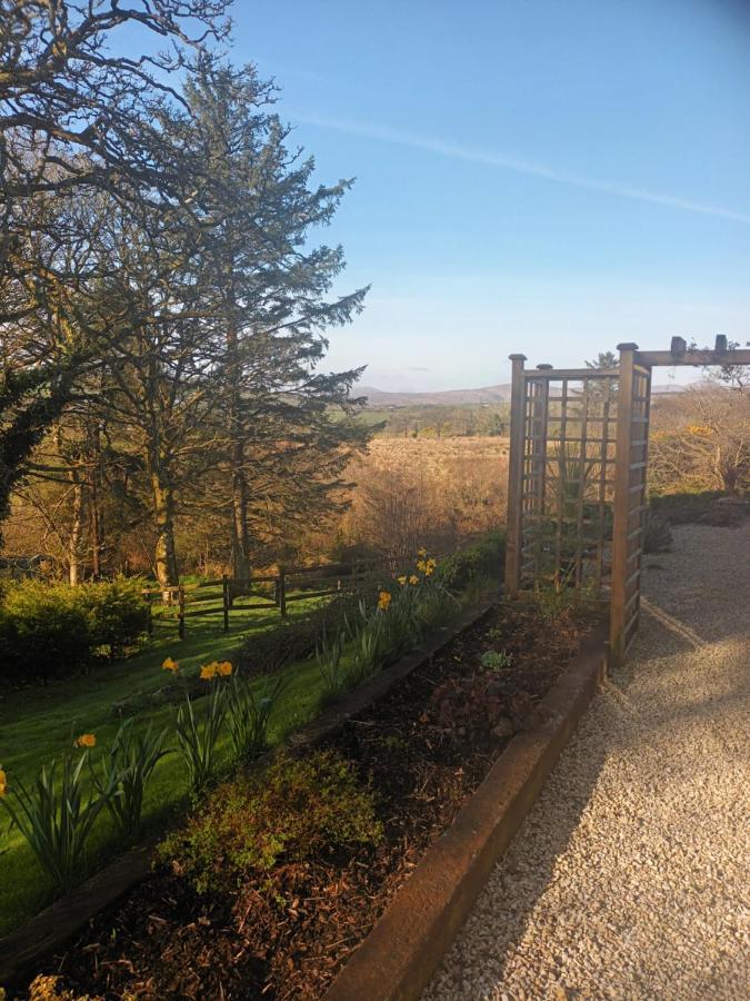 Holly Lodge Letterkenny Esterno foto